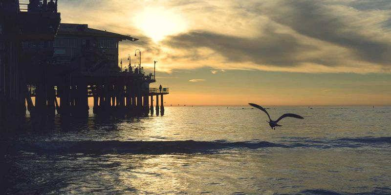 从“告知”到“赋能”:财经新闻如何集成工具属性,驱动用户决策——以奇讯001行业动态为例